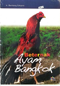Image of Beternak Ayam Bangkok