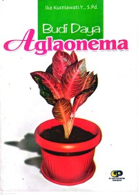 Image of Budi Daya Aglaonema