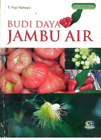 Image of Budi Daya Jambu Air