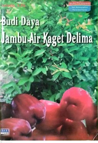 Image of Budi Daya Jambu Air Kaget Delima