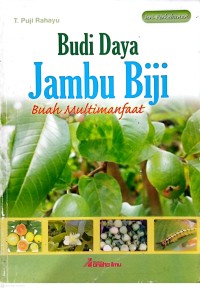 Image of Budi Daya Jambu Biji Buah Multimanfaat